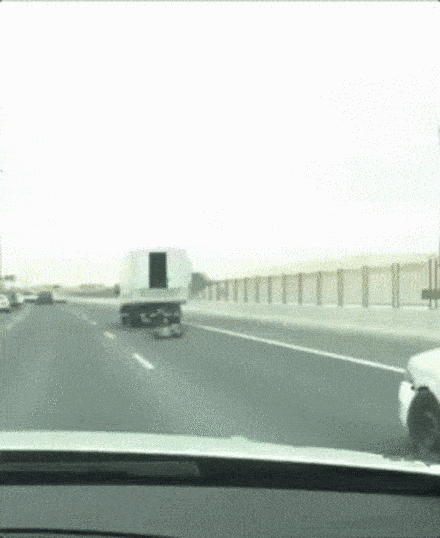 |富婆陈丽华孙女结婚，祖孙二人五官如复制黏贴，迟重瑞现场忙得慌