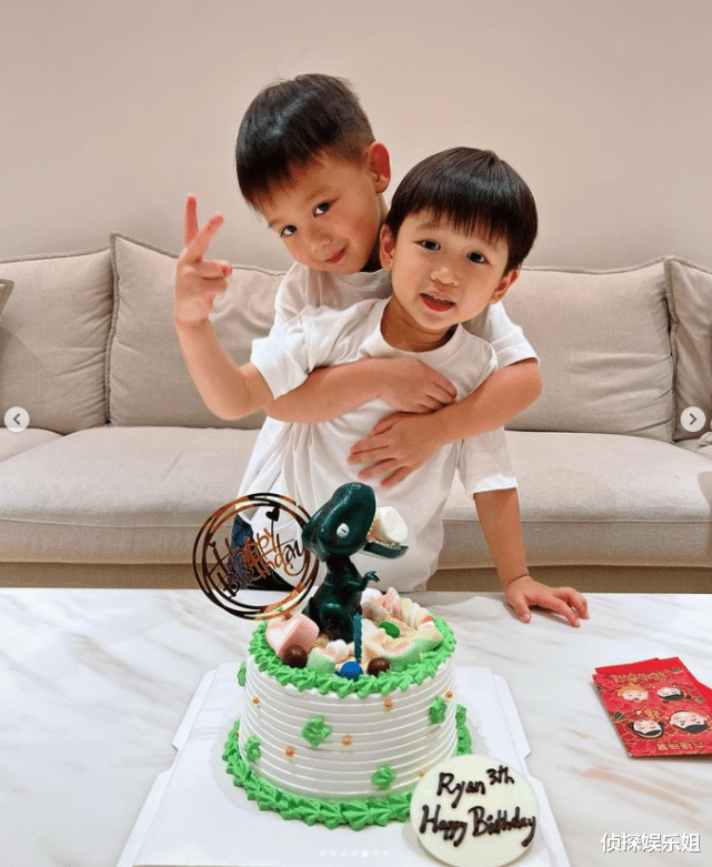 胡杏儿|胡杏儿庆祝二胎儿子满3岁,奕霖和哥哥捉蛇、玩蜘蛛,超勇敢