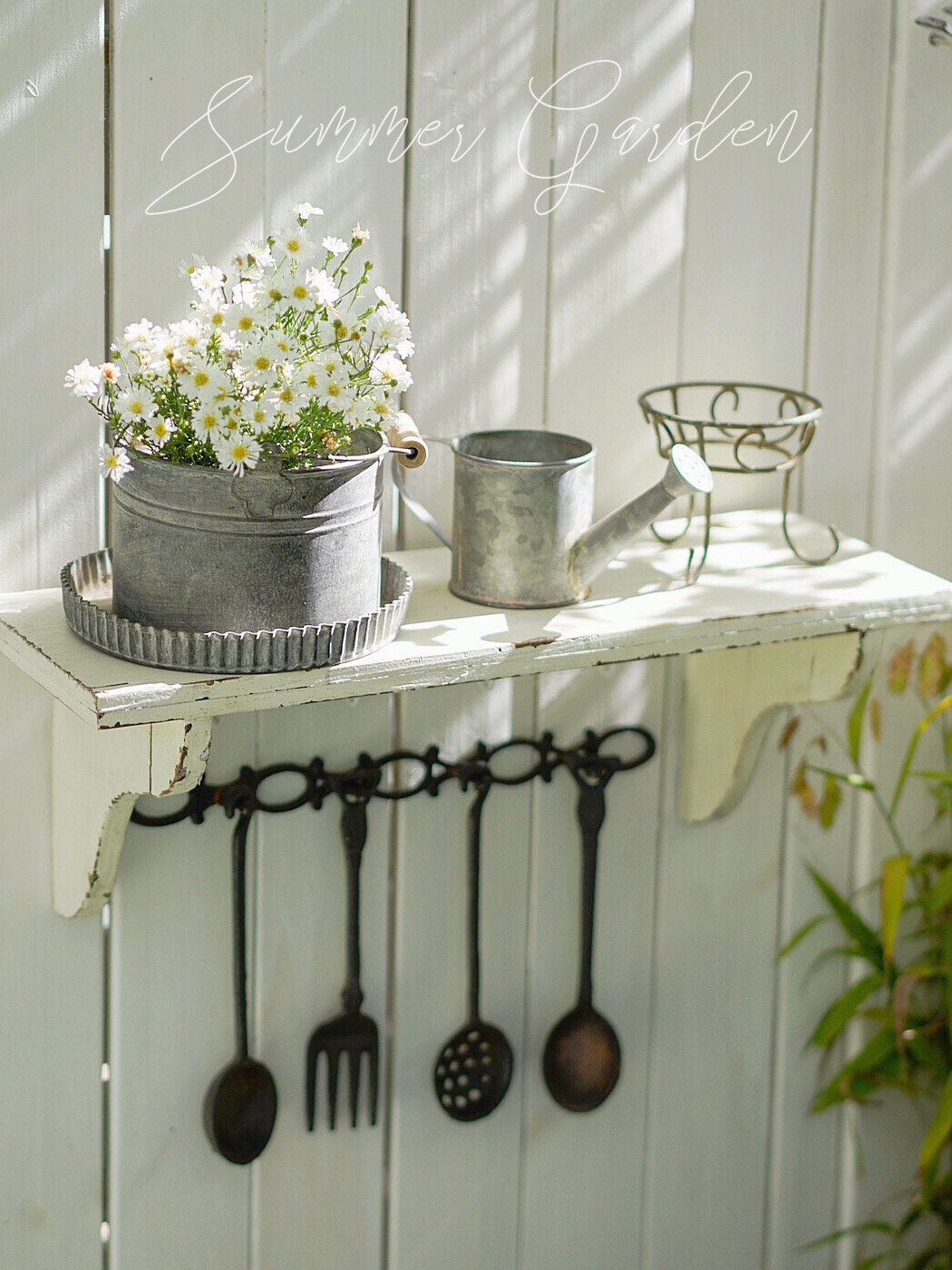 20㎡一楼小院,DIY打造杂货花园,倒腾了一年时间,如今又仙又美