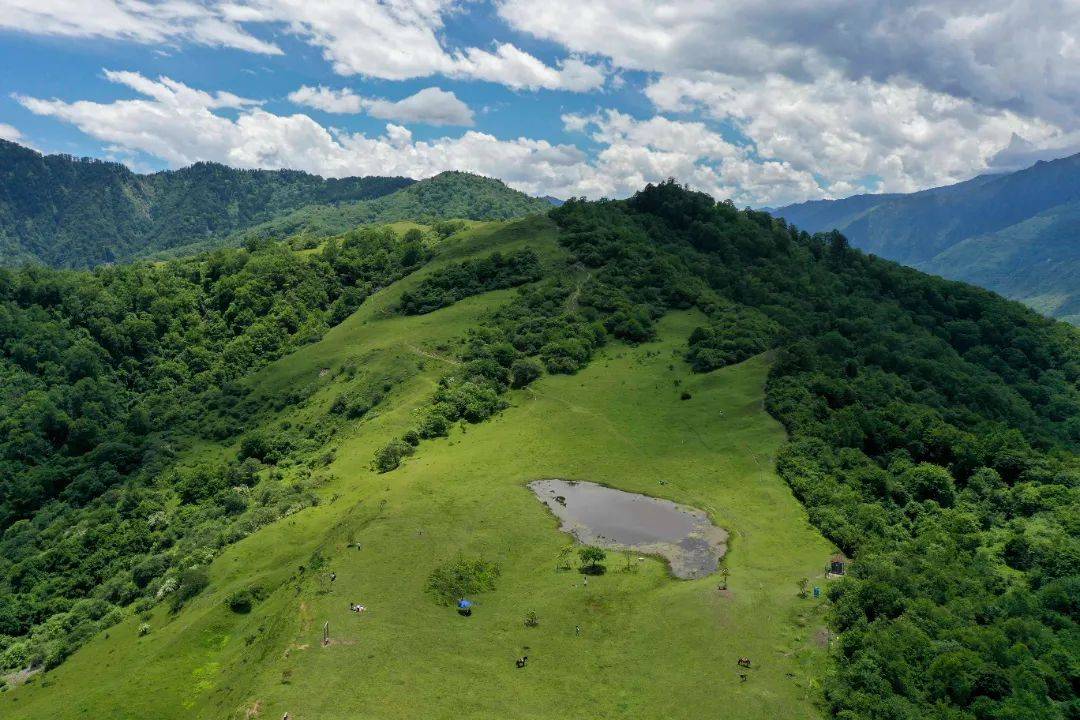 成都|清凉ing！汶川最新避暑指南出炉，趁“热”收下→