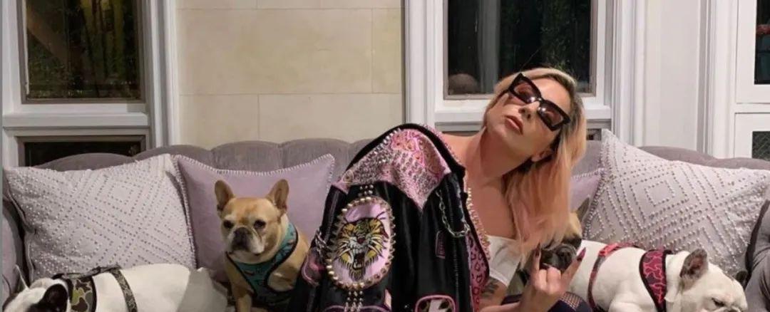 Lady Gaga|得罪了Lady Gaga,一辈子前途都没了