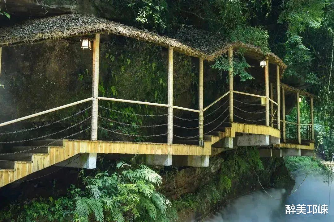 峨眉|莫向临邛去丨在户外天堂川西竹海,这些数字代表什么