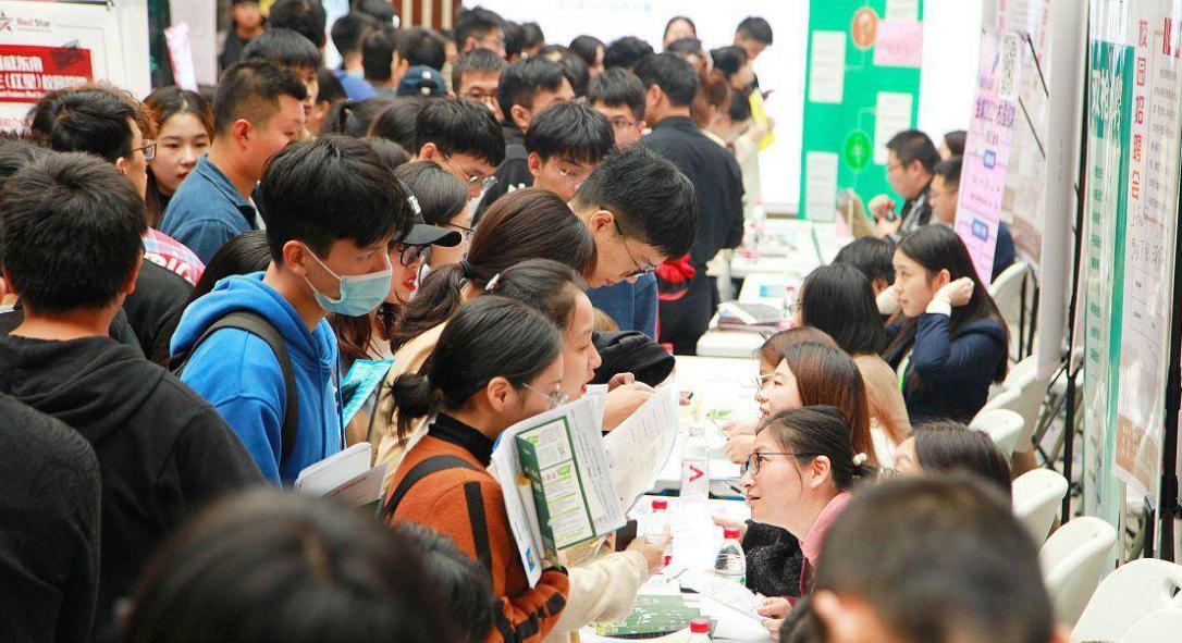 hr|企业HR坦言,这三类简历基本会“直接略过”,高校毕业生注意了