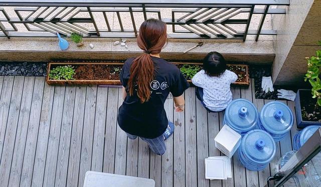 张晋|深刻解读张晋“官宣”娘娘“开始种菜了”文案：爱在一蔬一菜间！