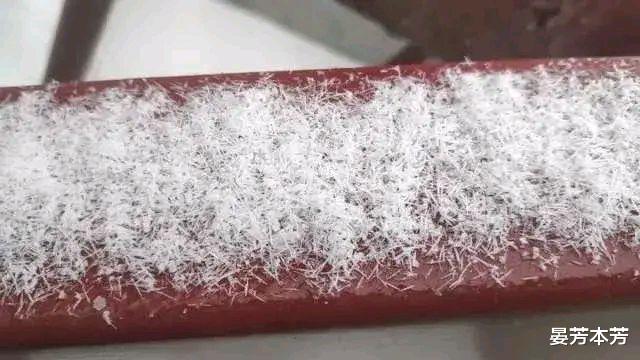 河南多地下罕见“冰针”雪,众人称没见过,像味精又像长粒香米