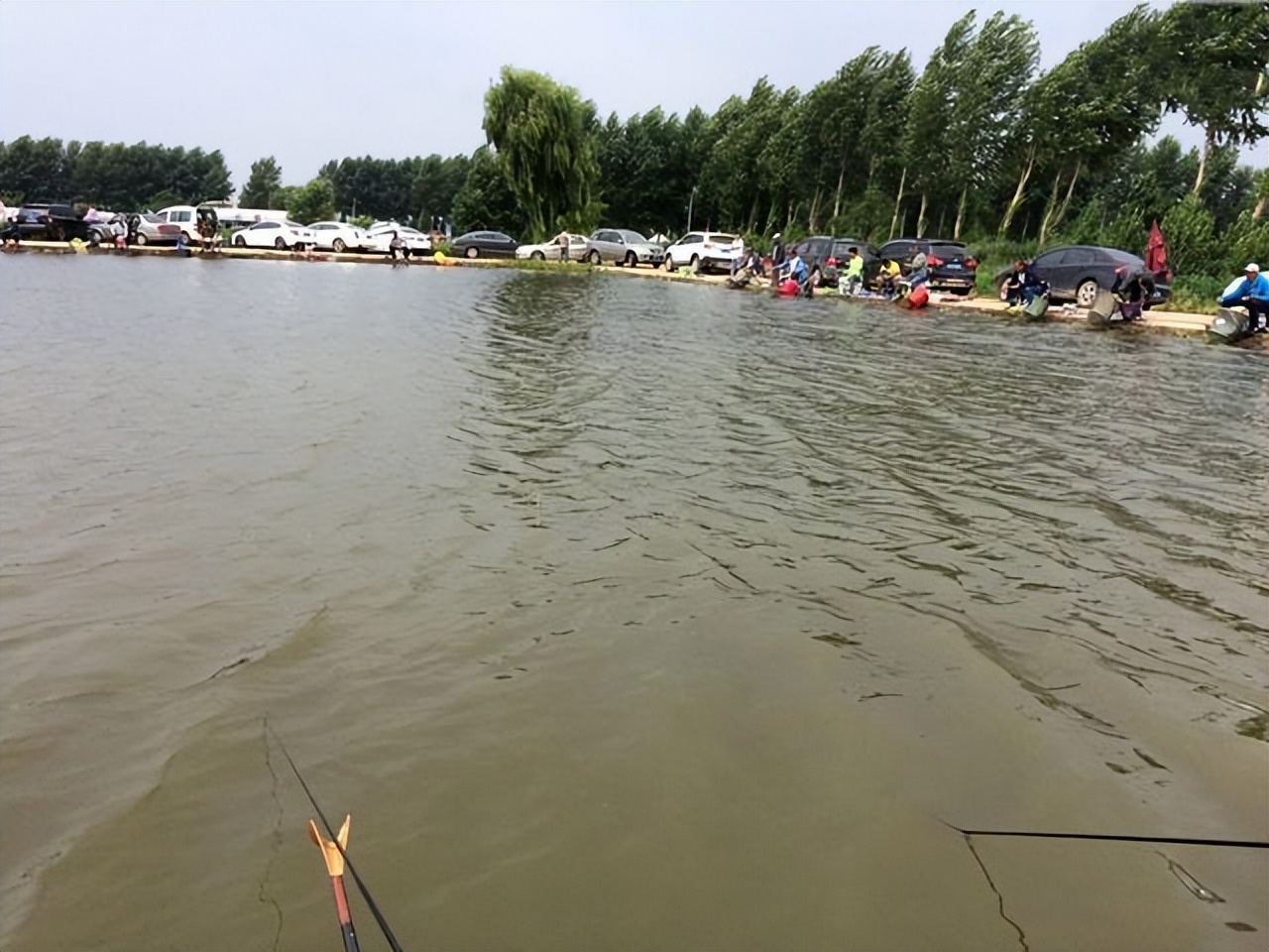 |揭秘钓鱼套路:就算得罪黑坑老板,也要让钓友知道这些“坑”招数