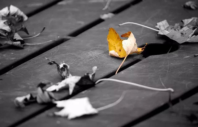 |猫巫先生十二星座周运2022年10.3-10.9：水逆结束啦！