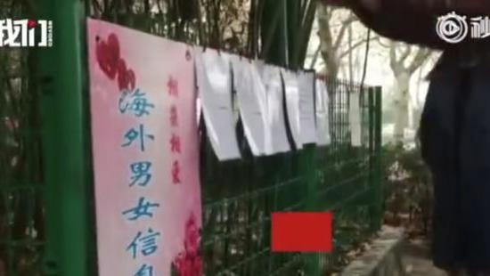 留学生|“留学生私生活很乱！”？？困在相亲鄙视链里的留学生们