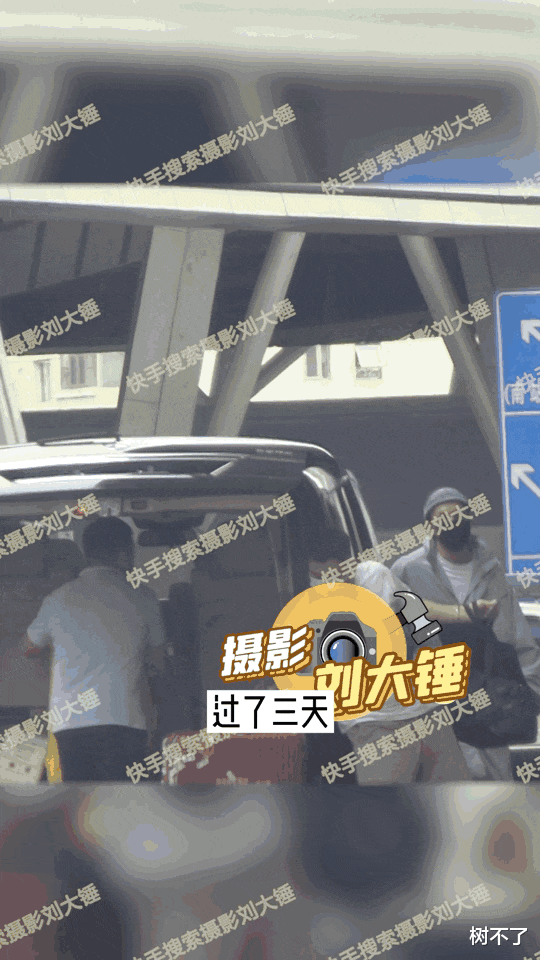 陈伟霆|怀孕了？还想逼婚陈伟霆？