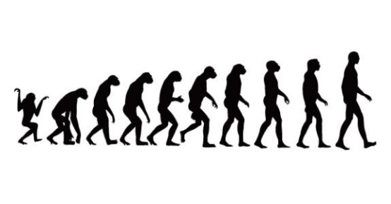 7000年前,女人的数量比男人多17倍,这个时期的人类怎么了?