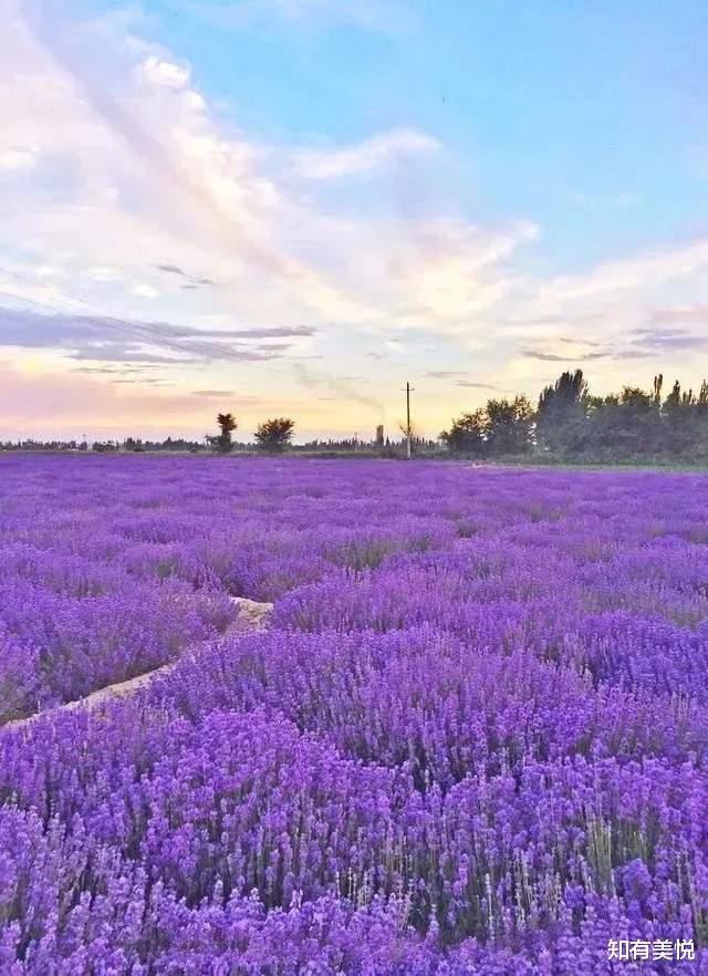 留神|端午好去处!来这14个被上帝偏爱的地方,邂逅一场完美的初夏之旅