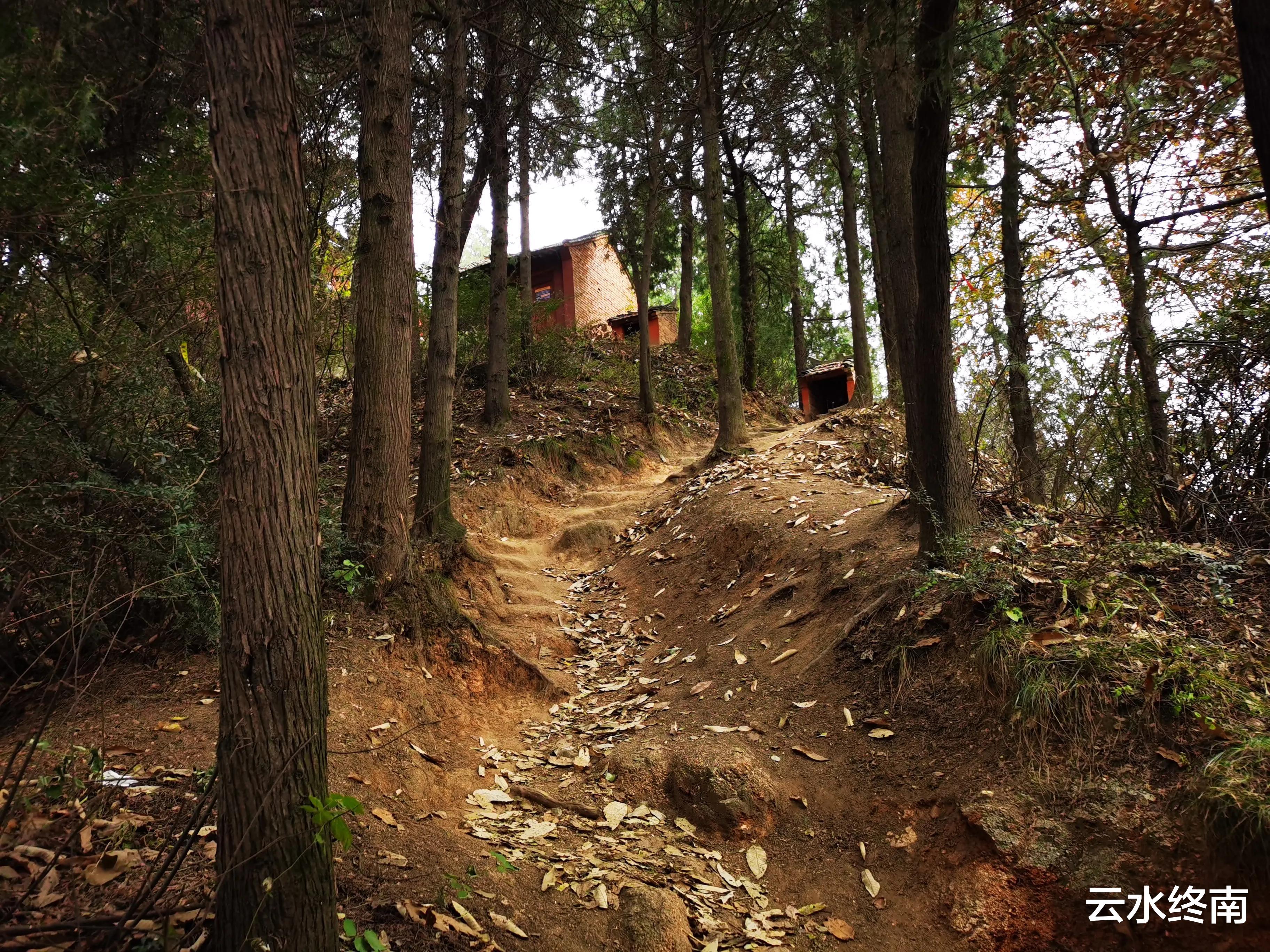 弥勒|海拔900米的秦北麓还有10多亩毛竹林,真是神奇