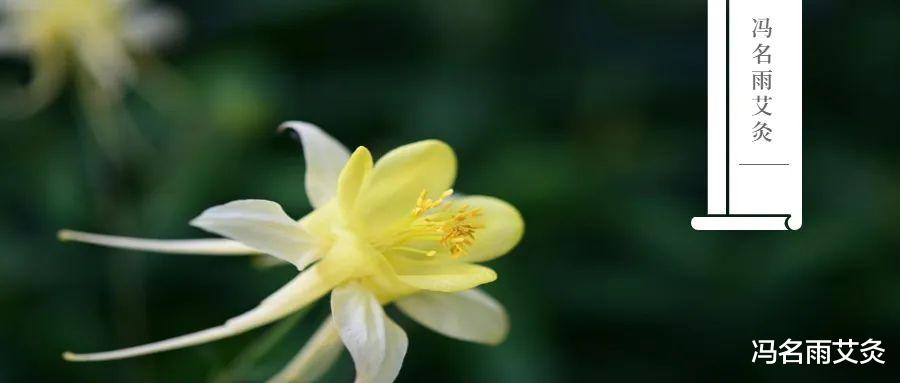 心血管疾病|排毒:最排毒的穴位是什么?教你排出食毒、气毒、水毒、血毒