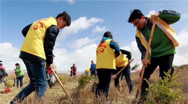 支付宝|19年马云承诺每年在沙漠里种1亿棵树,4年过去,现在树怎样了