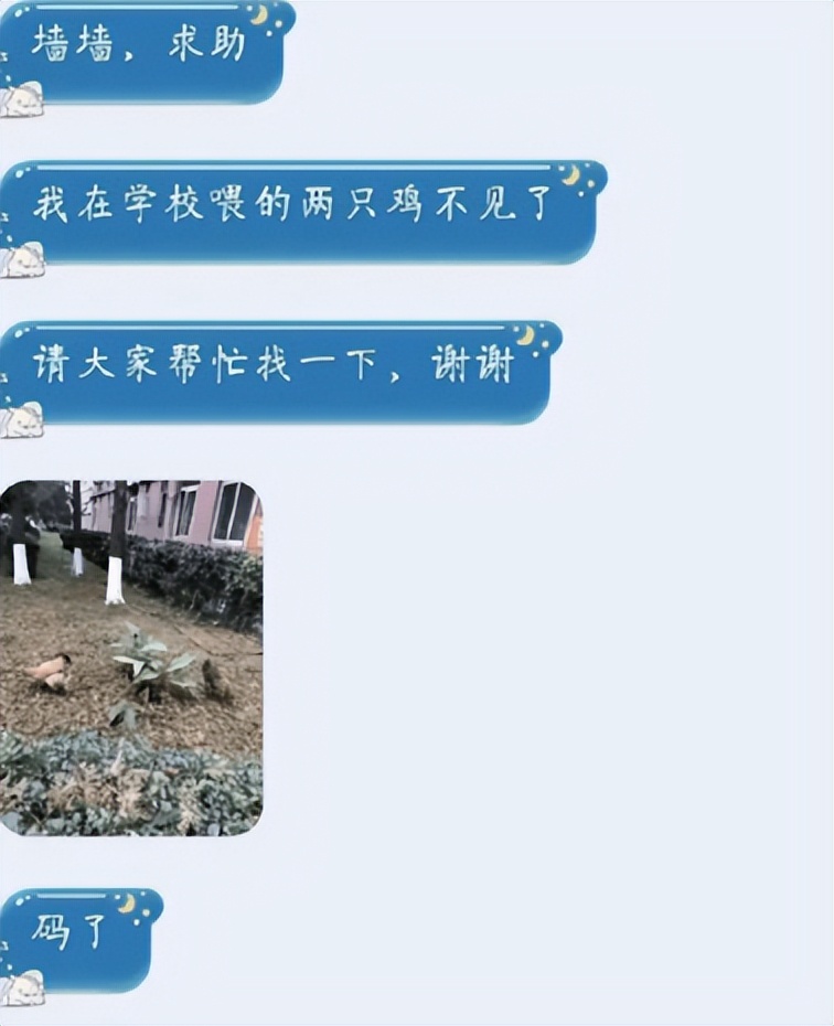 高校表白墙的使命:吐槽室友,给车轱辘找对象,举报偷外卖的小狗