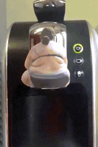 减肥专用咖啡机 效果立竿见影 搞笑gif