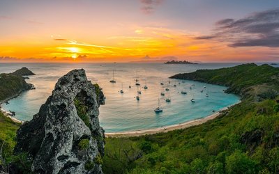 市场化|学习工匠精神  追求更高理想