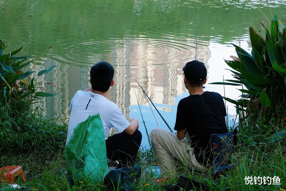 |钓鱼初学者需要掌握哪些基本知识?