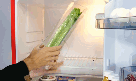 冰箱再大也别乱塞塑料袋，学学年轻人的做法，整洁又高级！