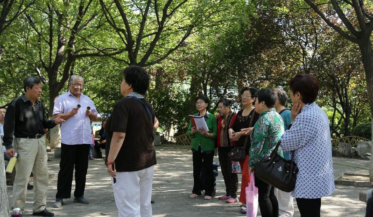 导游|“老年旅游团”便宜，为什么不怕亏钱？导游：亏是不可能的