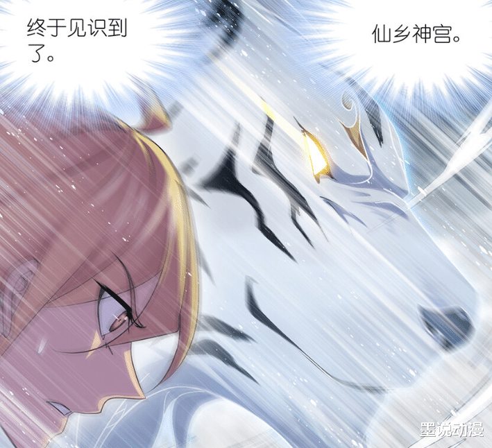 戴沐白|斗羅大陸：邪眸圣王助力戴沐白，無厄為何還能輕易壓制？