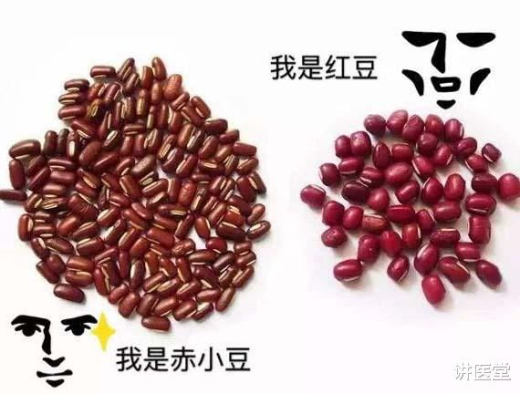 甲状腺|多囊患者为什么你的体内湿气总是除不掉