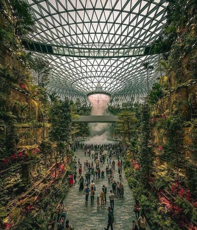 18个让人震撼的真实场景,那个轮胎是怎么套进树中间的?