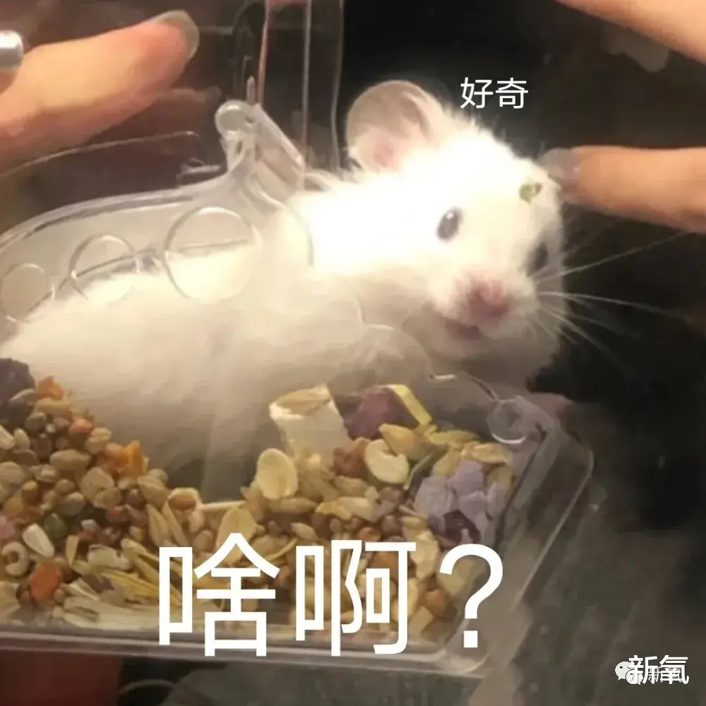 娱乐圈|泰国娱乐圈的迷之审美，她的副业只配出现在夜里？