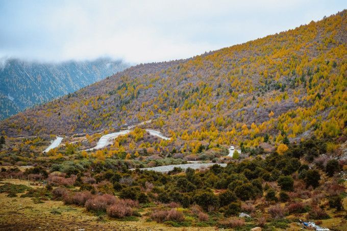 川西|不止稻城亚丁，来川西收获梦幻夏日