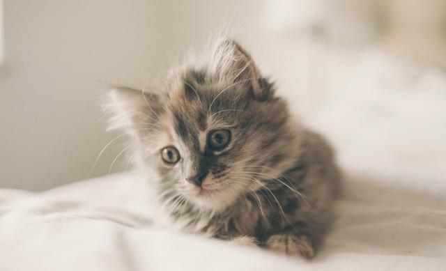 黑丝|一个人是不是富贵命，到40岁左右就能看出来，两个细节很关键