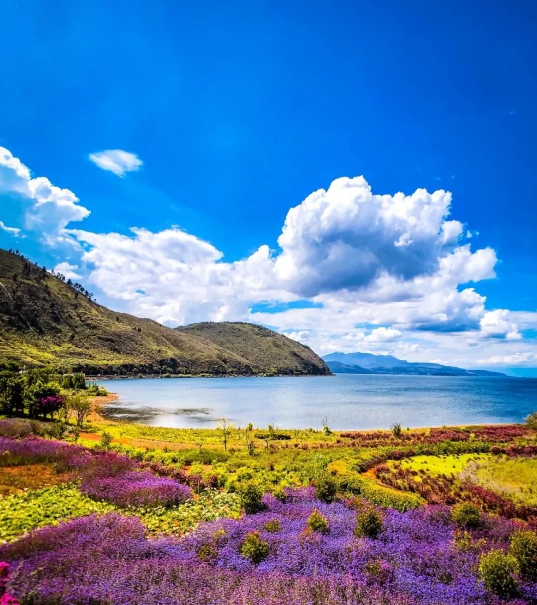 寺庙|比大理丽江舒服，就差点人气！藏着云南小三亚，异域风情不输版纳