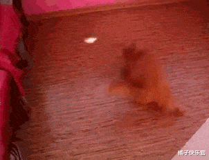 |买东西有记账的习惯，但是在算剩余钱的时候，发现了有一块钱怎么也对不上，这是为什么呢？