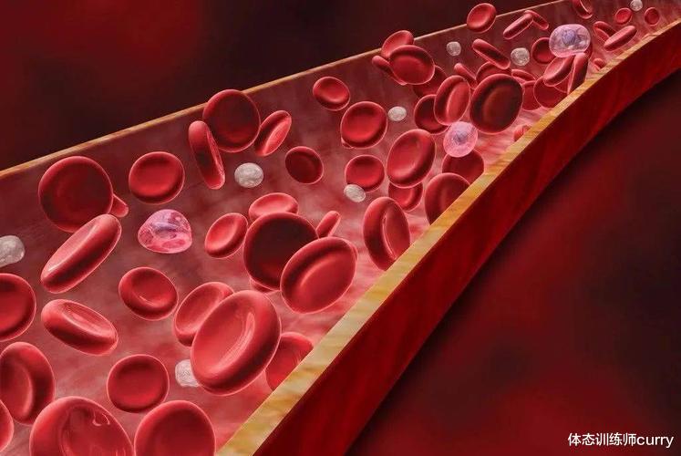 黄芪|经常喝黄芪水,人为何会变瘦?医生:黄芪水的副作用,尽量别忽视