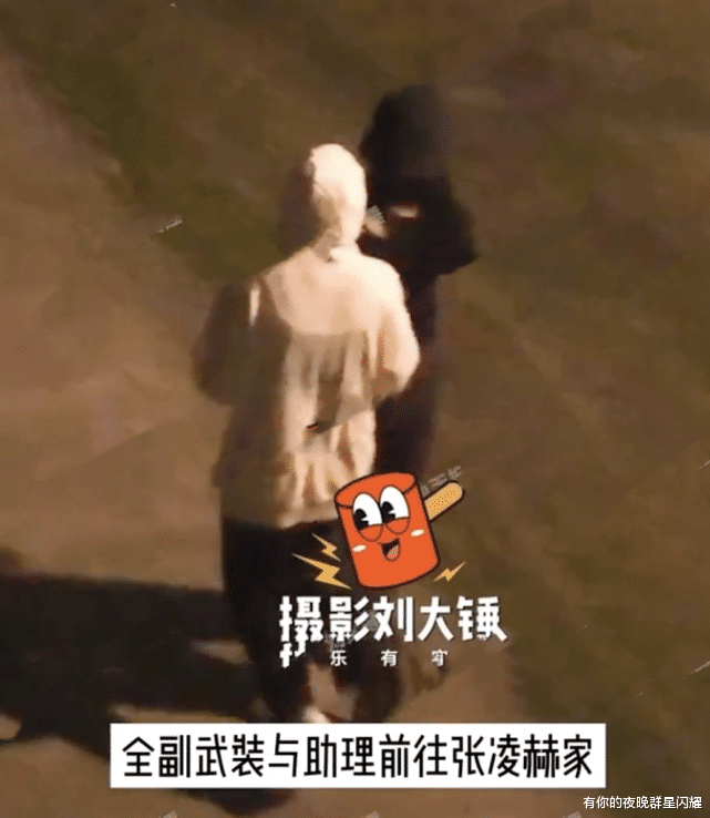 白梦妍|因戏生情？白鹿两次在张凌赫家中过夜，于正疑似辟谣两人恋情