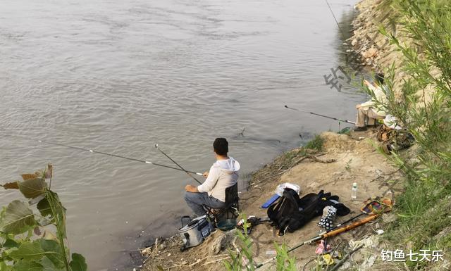 鮰鱼成群抢食,黄河郑州段出新鱼种?钓友:钩子扔下去就有鱼咬