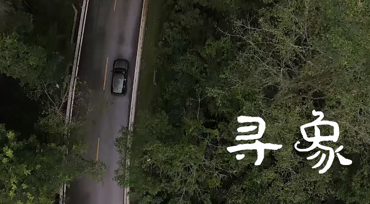 华为Mate50系列《寻象》短片正式发布，灵动画面彰显XMAGE强大影像功能！