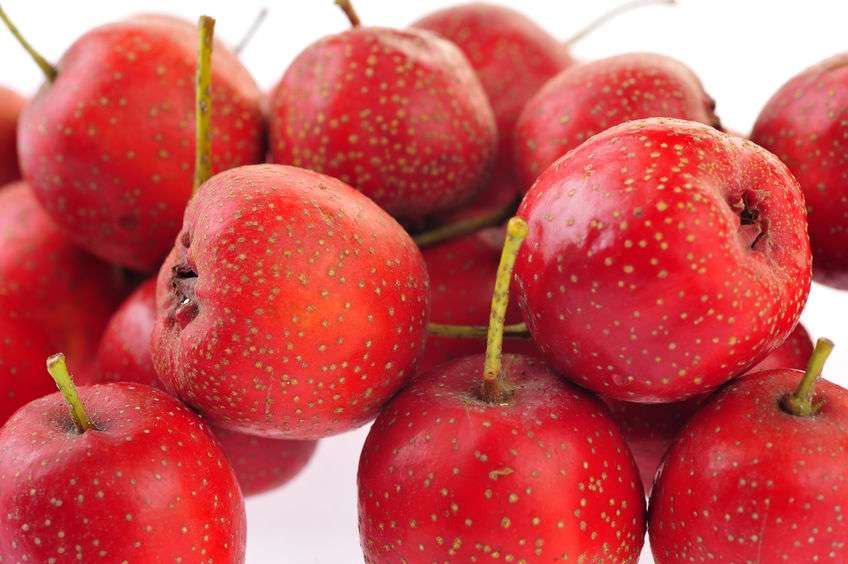 陈皮|查出脂肪肝后,每天适量吃这4种食物,或能缓解脂肪肝