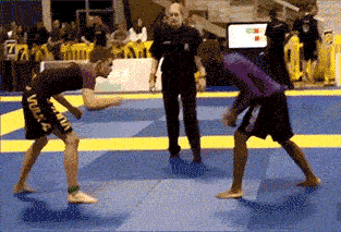 汪小菲|内娱天捅破了？鹿晗迪丽热巴日本游，汪小菲出轨实锤