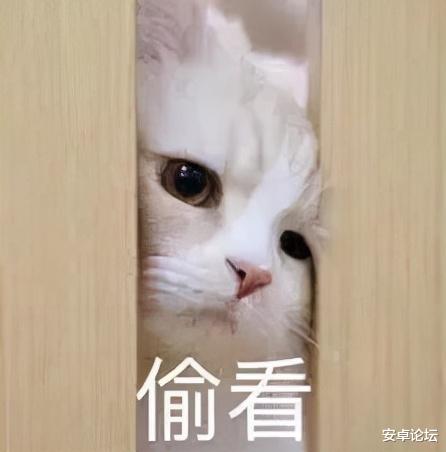 红米手机|天玑9000+一亿像素，Redmi这波不得「干翻小米」？