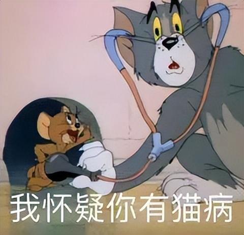 iOS|iOS越升越糟心?苹果,求求你上点心吧