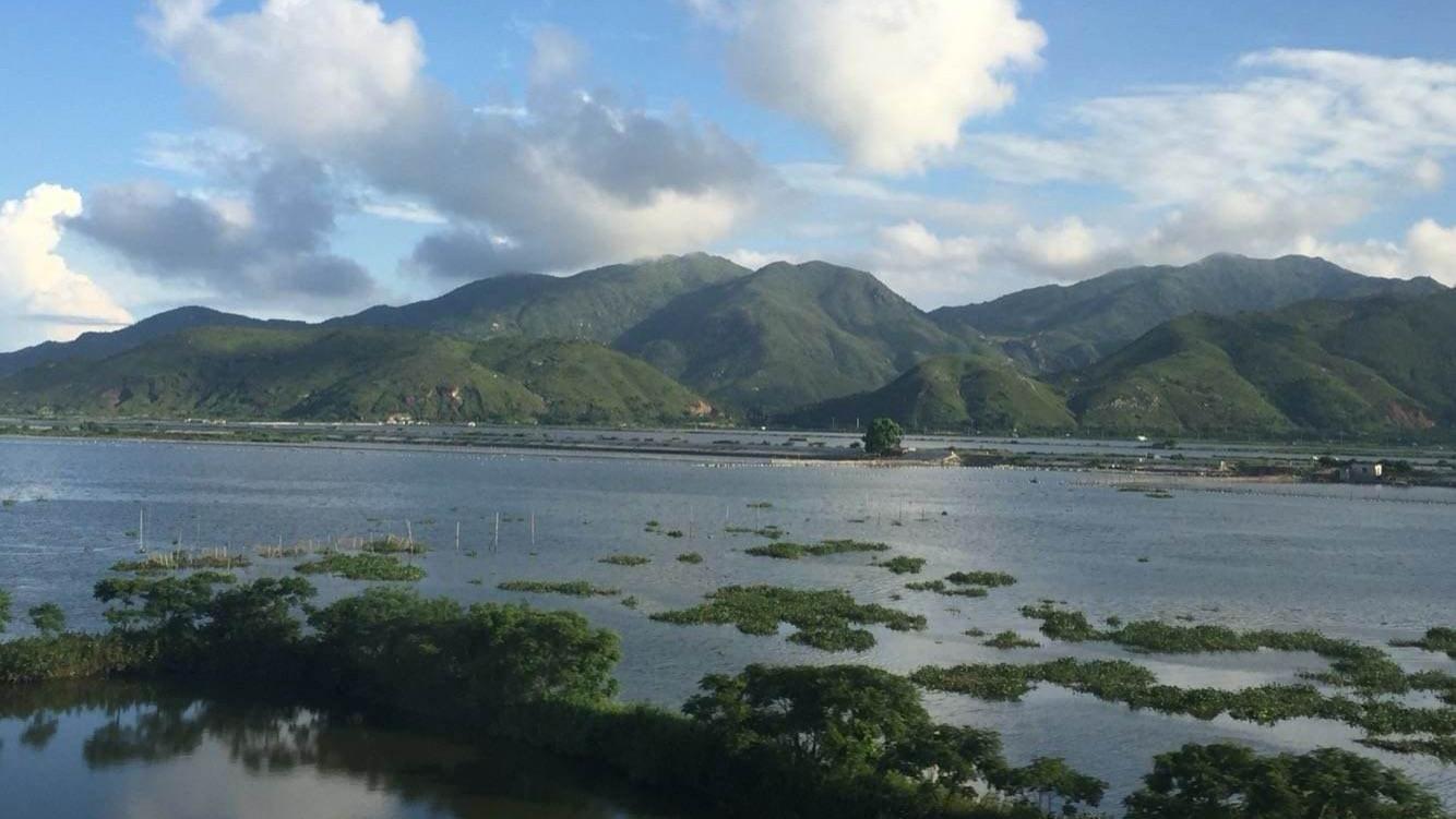 美食|去海丰县旅游，不要错过这些惊艳的美食，好吃到起飞