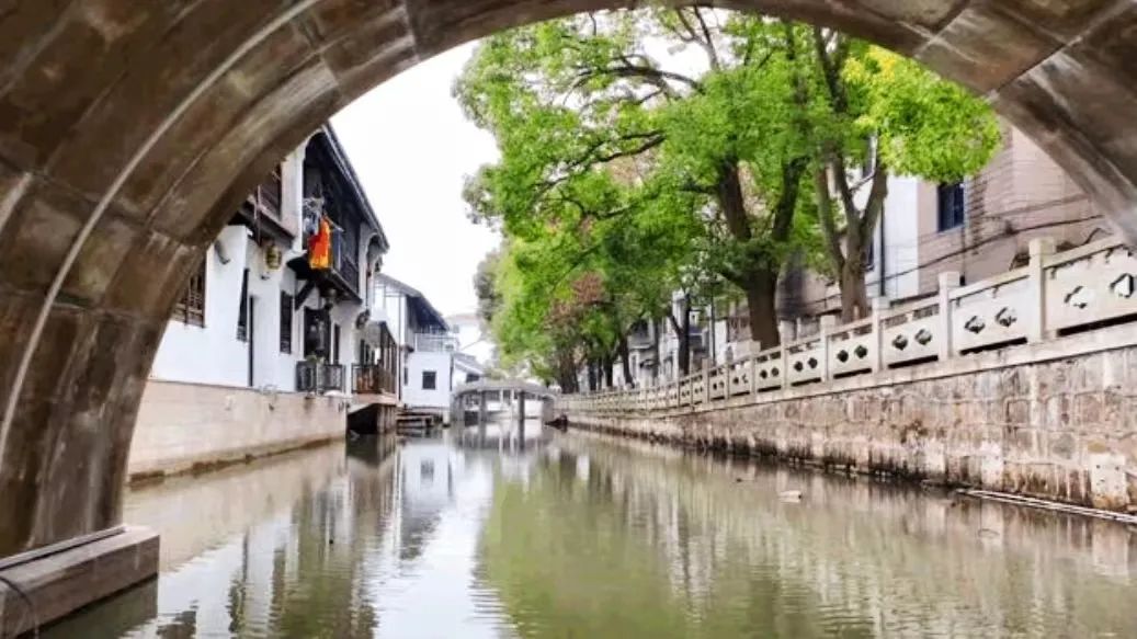 奉贤|极美奉贤·绿道 | 行走的一川烟雨