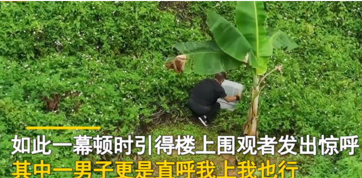 广东深圳，一男子在楼下闲逛时，发现旁边荒地里，有一坨棕色的东西