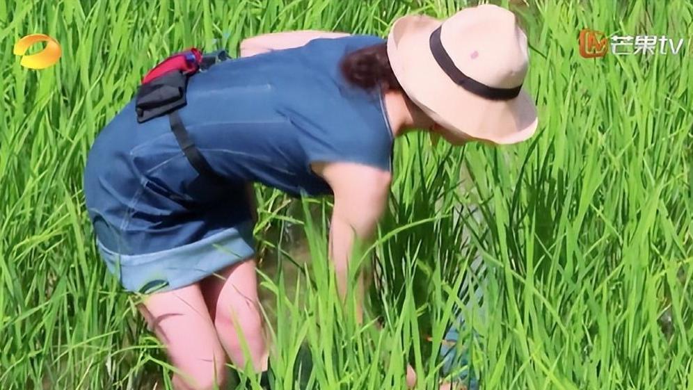 罗英锡|国产综艺难看，全都是观众的错？