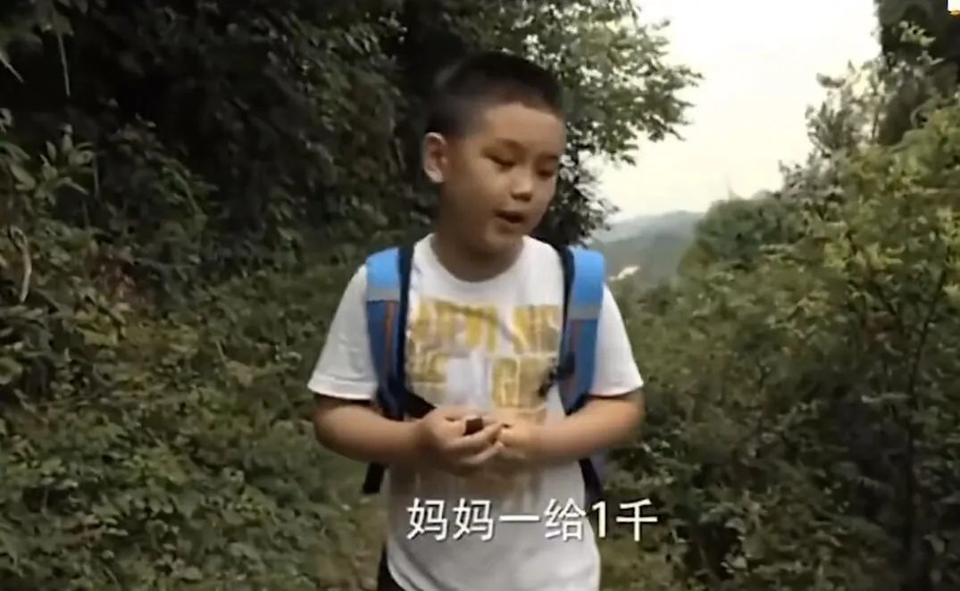 王艳|这豪门也算没嫁错了吧?