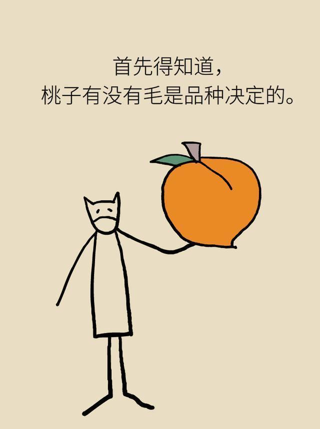 医学|毛桃、油桃，黄桃、白桃，哪个更有营养？看完或明白