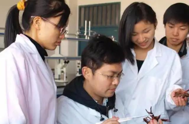 大学|又一大学公开招聘，高学历人才仅有4000元薪资，目前已有人报名