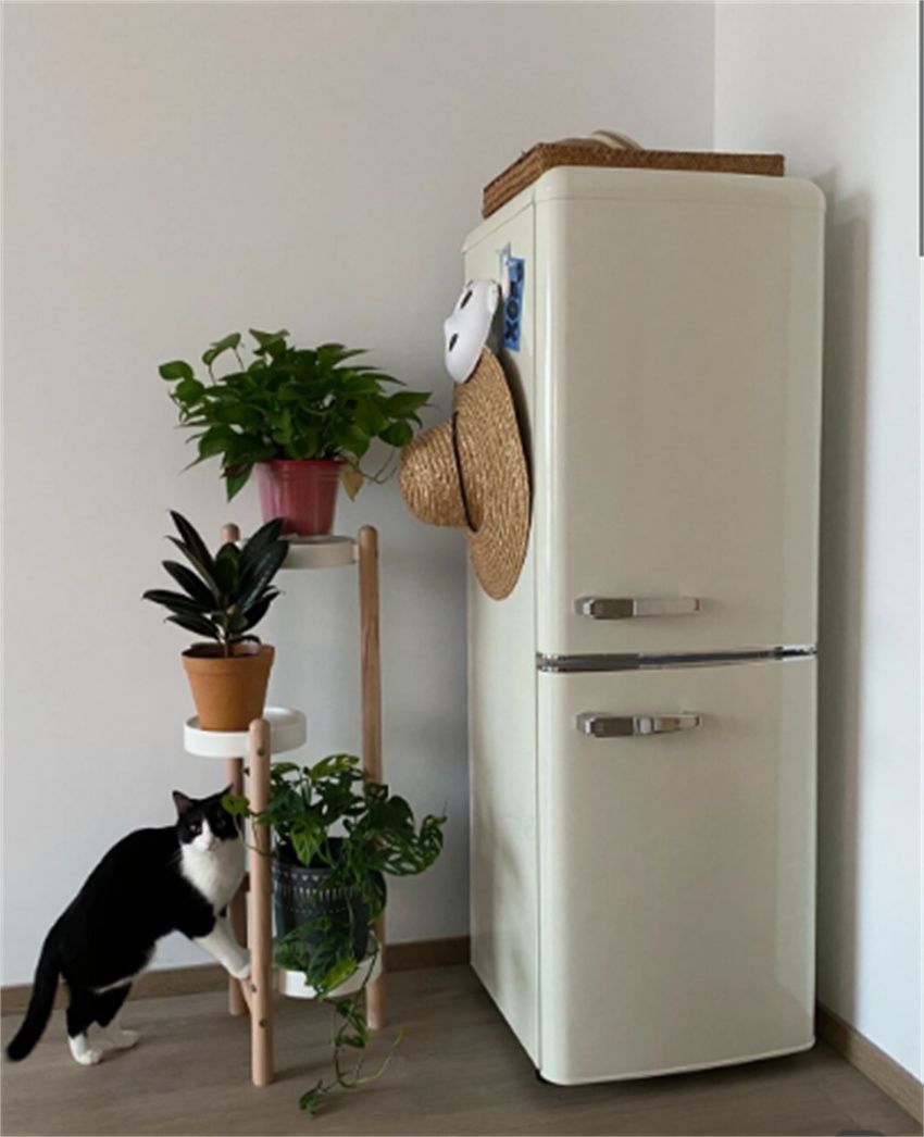 若再装修,买冰箱时一定坚持“6不要”!不是矫情,是为了更实用