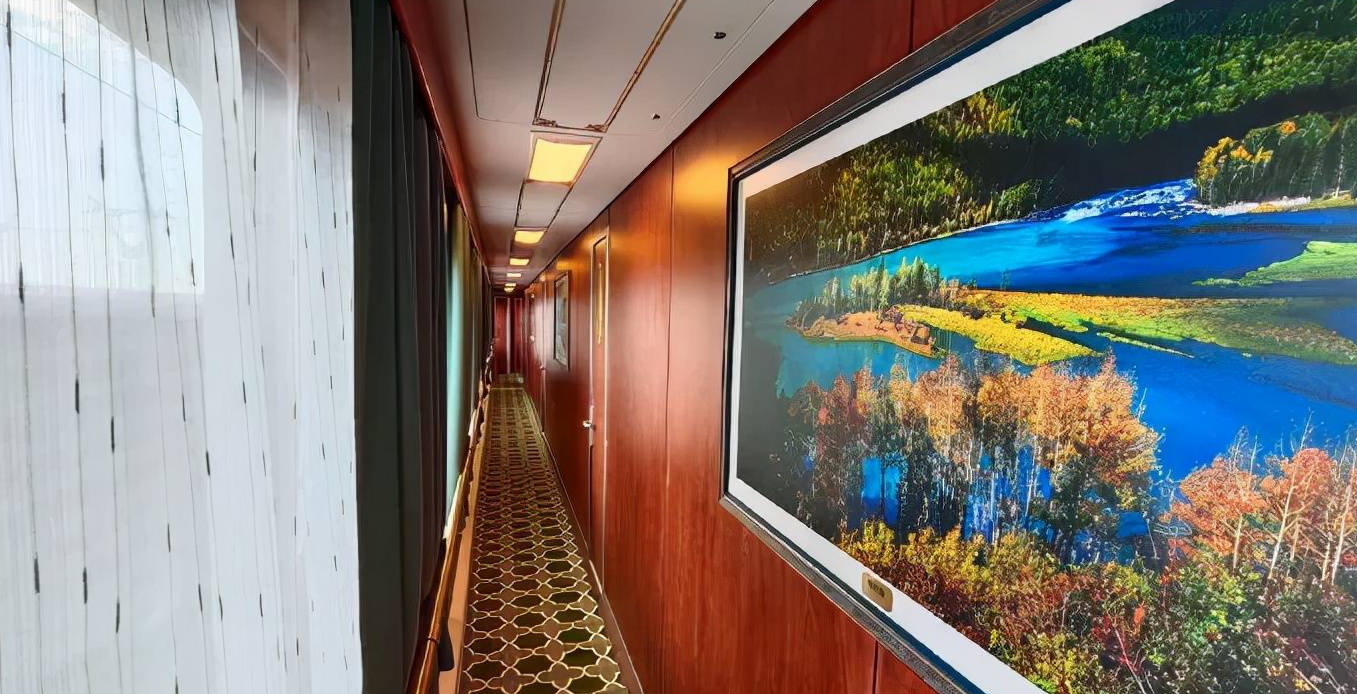 火车|我国“豪华版”列车，全程14天配备专门管家，游客：太贵了