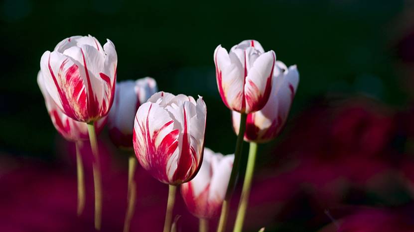 山药|午后困倦是什么原因造成的?